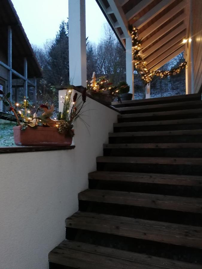 Chalet Des Pierres Opalines Xonrupt-Longemer Εξωτερικό φωτογραφία